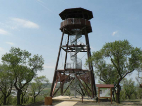 Rozhledna v Hustopečích