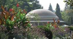 Léto v Poděbradech...