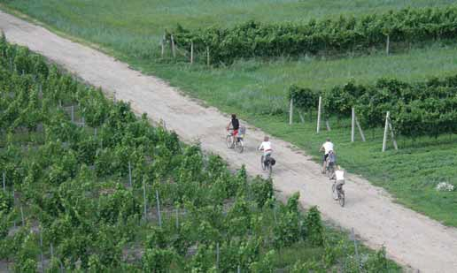 Jižní Morava ze sedla kola