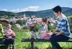 Šumavské Kašperské Hory