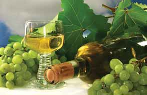 Roudnické vinobraní