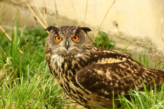 Tisková zpráva ze dne 18.9. 2014