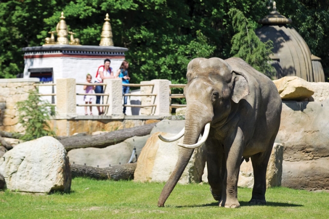 Zoo Praha