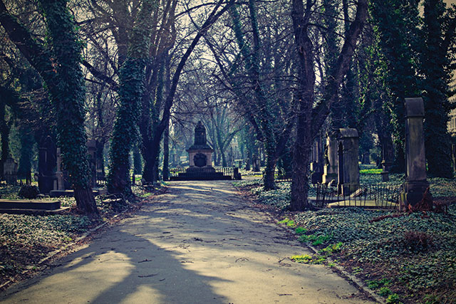 Kontemplace uprostřed velkoměsta