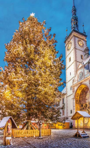 Adwentowy Ołomuniec