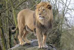 Docela jiný svět – Zoo a botanická zahrada v Plzni