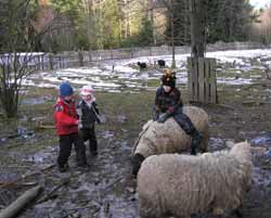 Jarní prázdniny u Šumavouse