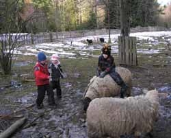 Jarní prázdniny u Šumavouse