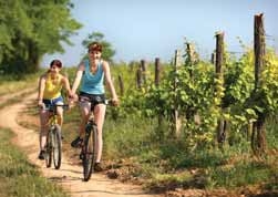 Willkommen in Znojmo