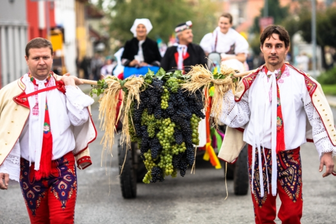 Pálavské vinobraní 