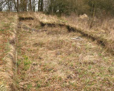 Stolová hora Vladař