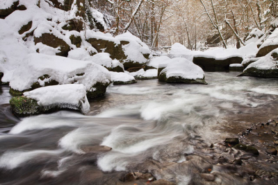 Říčka Křinice, foto © M.Rak