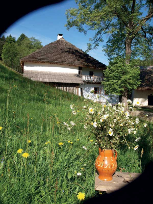 Obrázek č.0