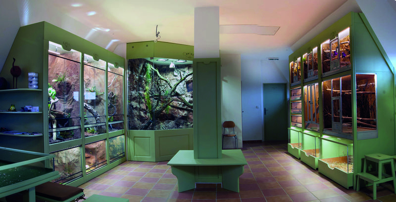 SPRÁVNÝ ČAS NA ŠKOLNÍ VÝLET