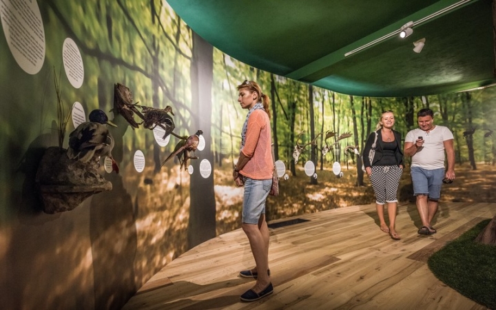 Panský dvůr Telč – zábava, adrenalin i historie na jednom místě