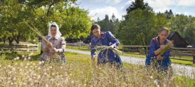 Unikalny skansen w przyrodzie w sercu Wołoszczyzny