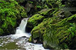 Údolí Doubravy