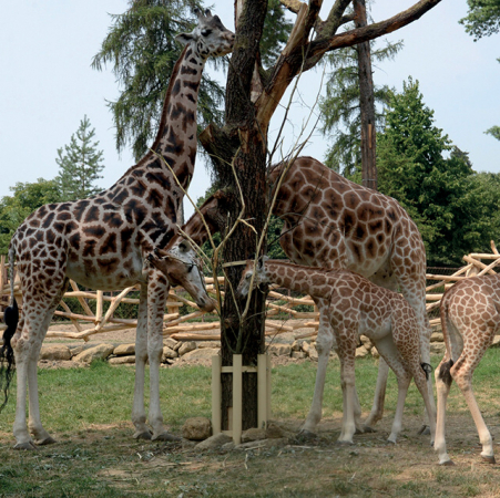 zoo a zooparky, botanické zahrady