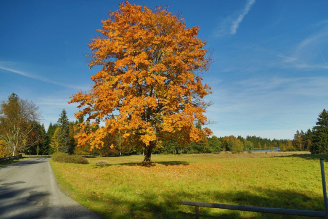 Pozvání na podzimní výlet