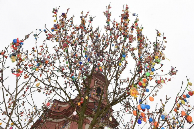 Centrum Hranic zdobí strom Kraslicovník s 3300 kraslicemi