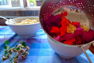 Víkend ve znamení jedlého kvítí a býlí