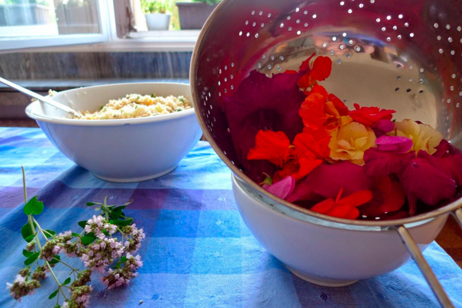 Víkend ve znamení jedlého kvítí a býlí