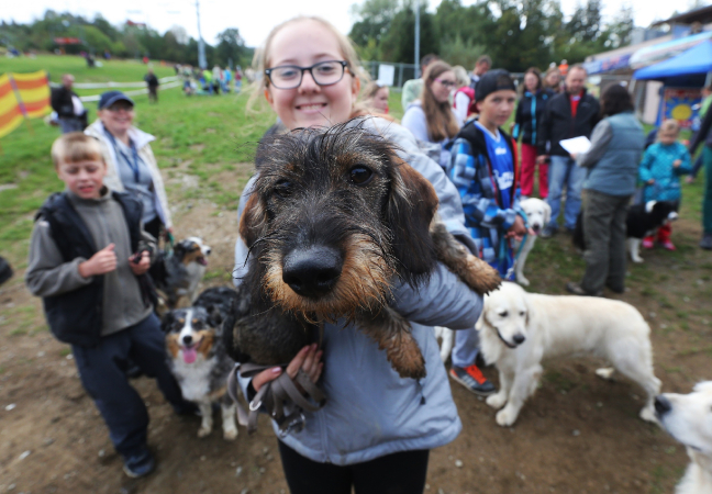 Monínec bude opět patřit psům, knize Rok s retrívrem a pokusu o další rekord