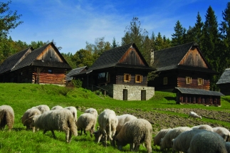 Živé muzeum