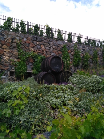 Trojská botanická zahrada slavnostně pokřtila vína ročníku 2016 a zároveň oslavila osmé narozeniny expozice výroby vín, kde se víno z vinice sv. Kláry zpracováv