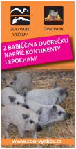 Z babiččina dvorečku napříč kontinenty i epochami