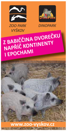 Z babiččina dvorečku napříč kontinenty i epochami