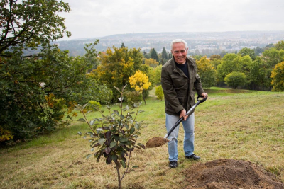 prof. Pavel Pafko, DrSc.