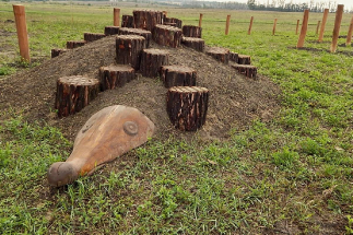 Relaxační zóna na Křížovém vrchu v Hustopečích