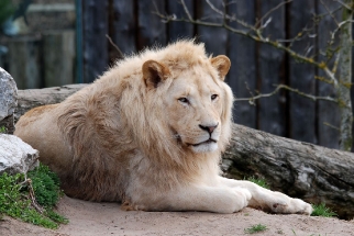 Navštivte Zoologickou zahradu Hodonín