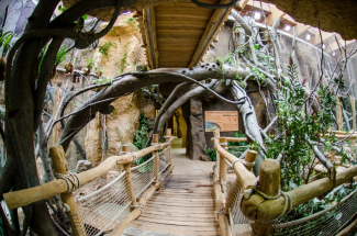 Ostravský „Pavilon evoluce“