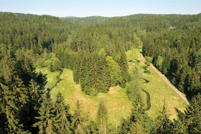 Meandry Křinice v Kyjovském údolí