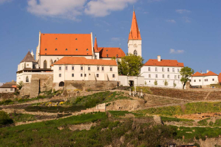 Rajská vinice v Karolininých sadech Znojmo