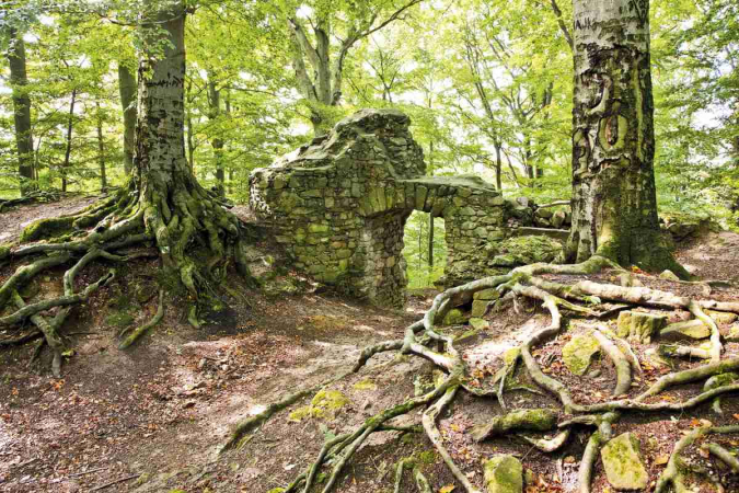 Naučná stezka Hradisko