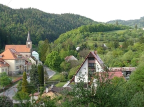 Rusava