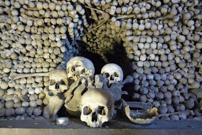 Procházka po Sedlci a Kaňkovských vrších