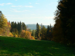 Vrch Jahodná