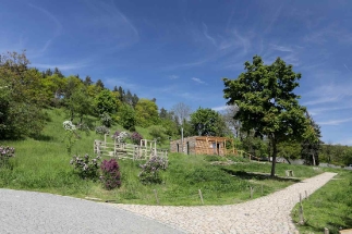 V Troji vzniká moderní botanická zahrada 21. století