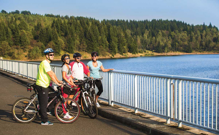 Region rowerowy Rudawy (Krušné hory) – Na rowerze po „drabinie“?