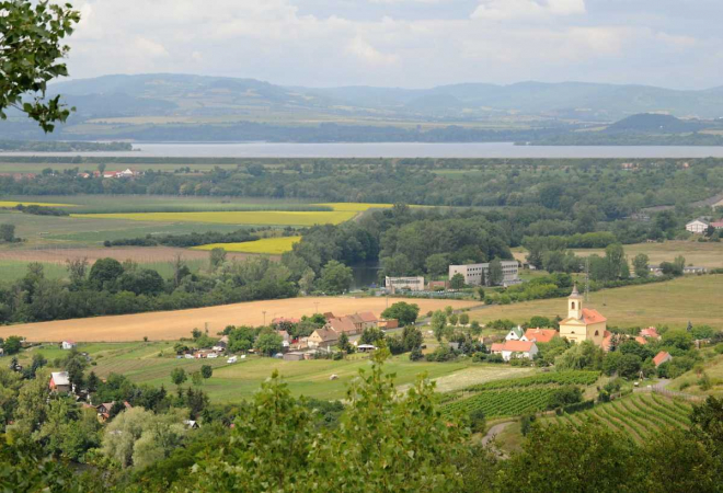Vinobraní ve Stranné