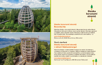 Stezka korunami stromů