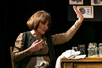 Marie Málková v představení Zahrada Jane Austenové_foto Michal Hančovský