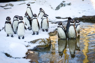ZOO Zlín nawet zimą jest warte odwiedzenia!
