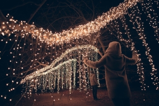 Vánoční zahrada na zámku Pillnitz