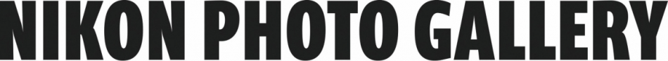 Nikon Photo Gallery