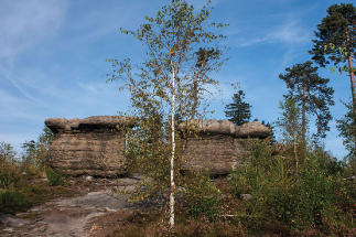 Nejdokonalejší skalní hřiby u nás